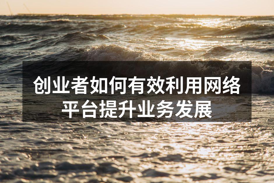 创业者如何有效利用网络平台提升业务发展