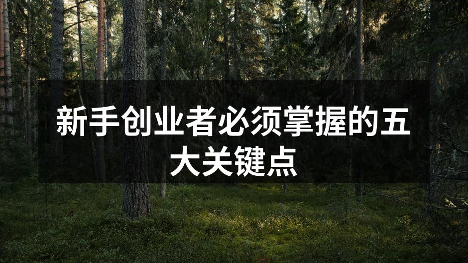 新手创业者必须掌握的五大关键点