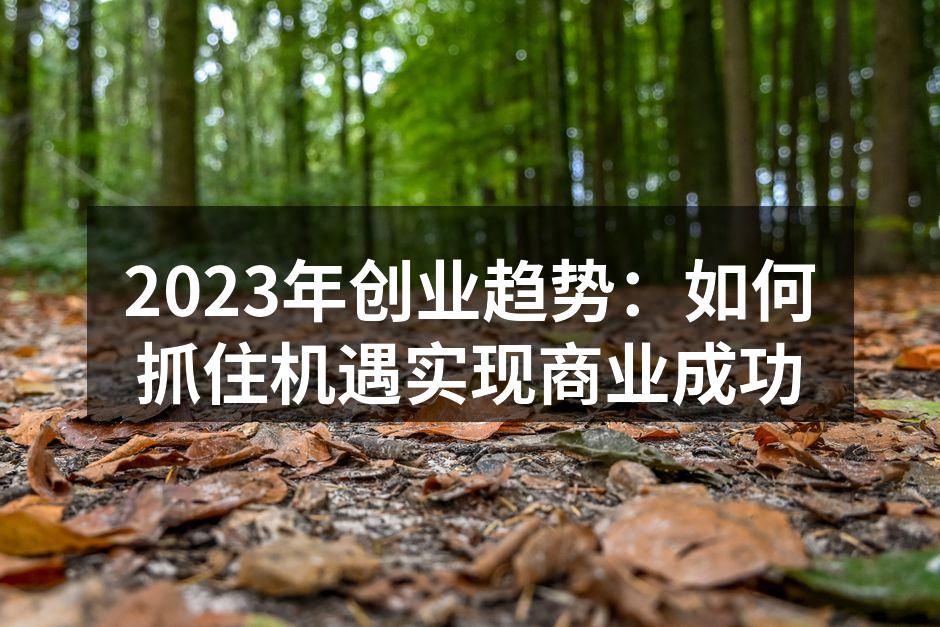 2023年创业趋势：如何抓住机遇实现商业成功